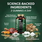 Zerean Flexa Mobility Mushroom Gummies bottle surrounded by turmeric, reishi, maitake, MSM, glucosamine, and chondroitin — 2 gummies a day for mobility and flexibility.