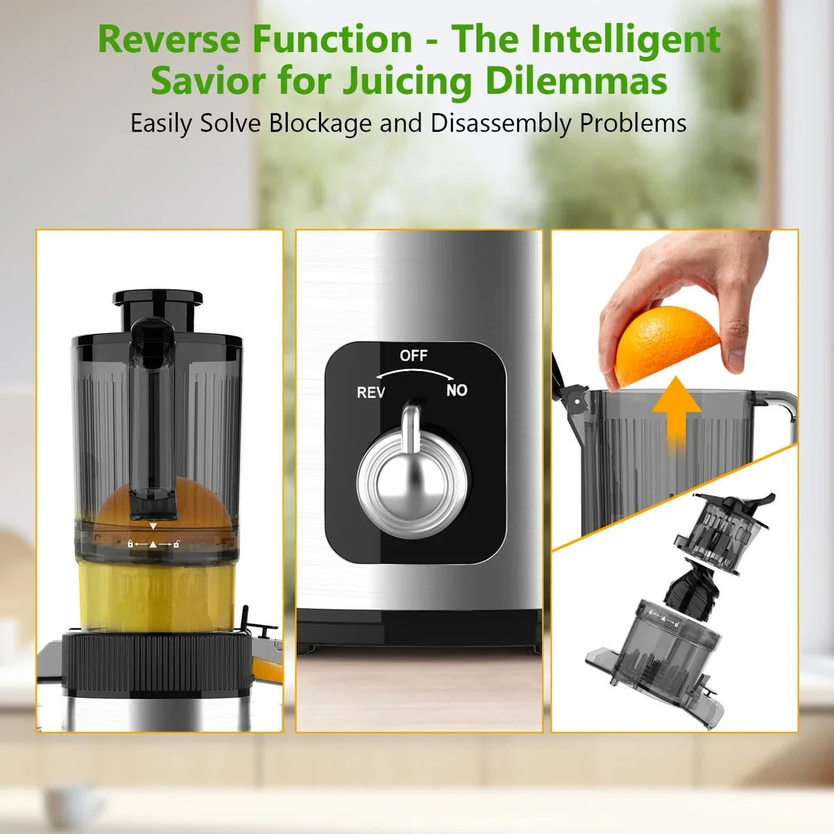 Cold Press Juicer