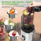 Cold Press Juicer