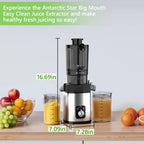 Cold Press Juicer